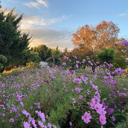 Melbourne Garden Bed And Breakfast Melton Eksteriør bilde
