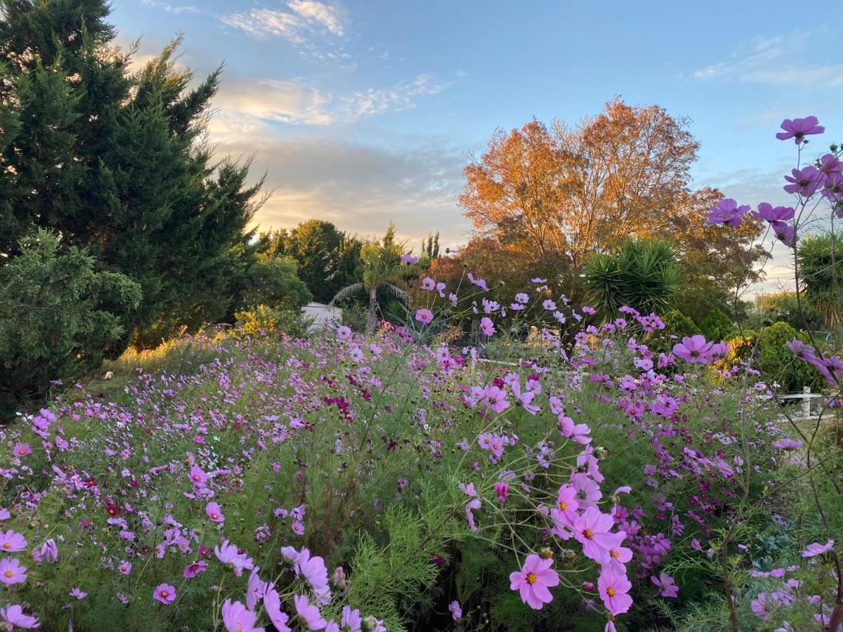 Melbourne Garden Bed And Breakfast Melton Eksteriør bilde